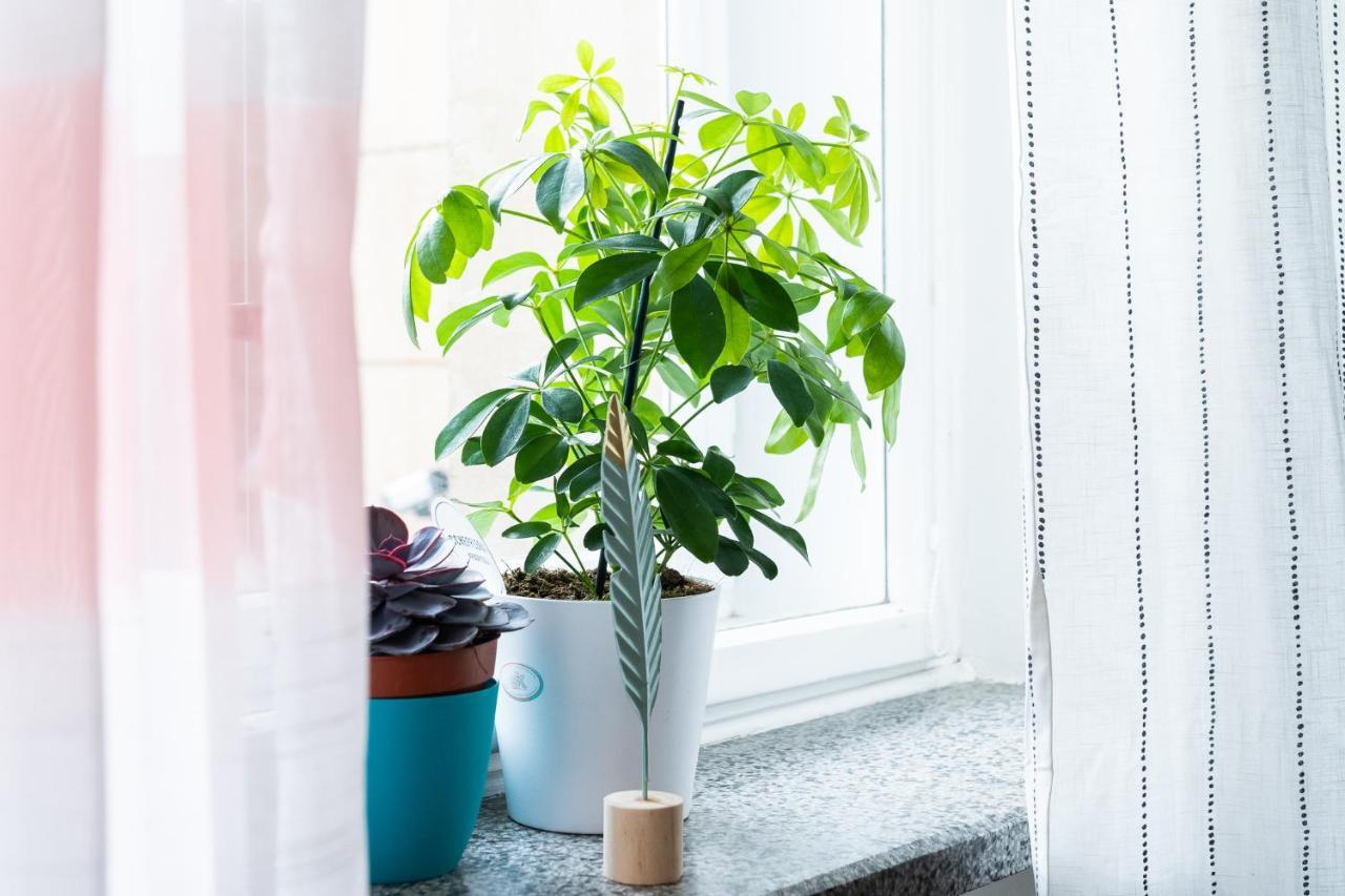 Jaselska Rooms - Brno Center Ngoại thất bức ảnh